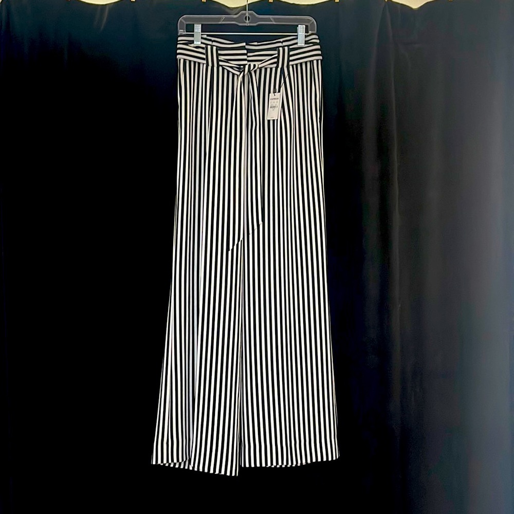 Express Pants